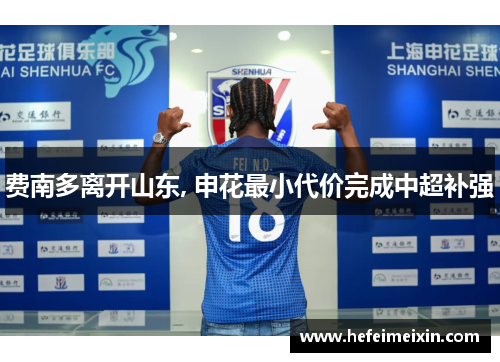 费南多离开山东, 申花最小代价完成中超补强